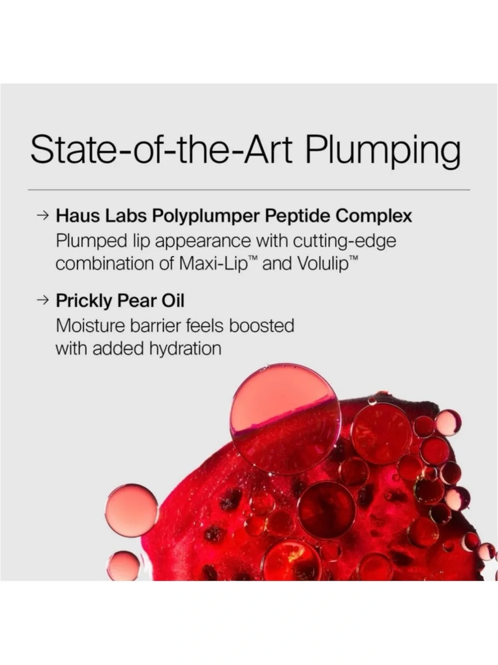 HAUS LABS LIMITED EDITION PHD HYBRID INNOVATION PLUMPING LIP GLAZE DUO SET
